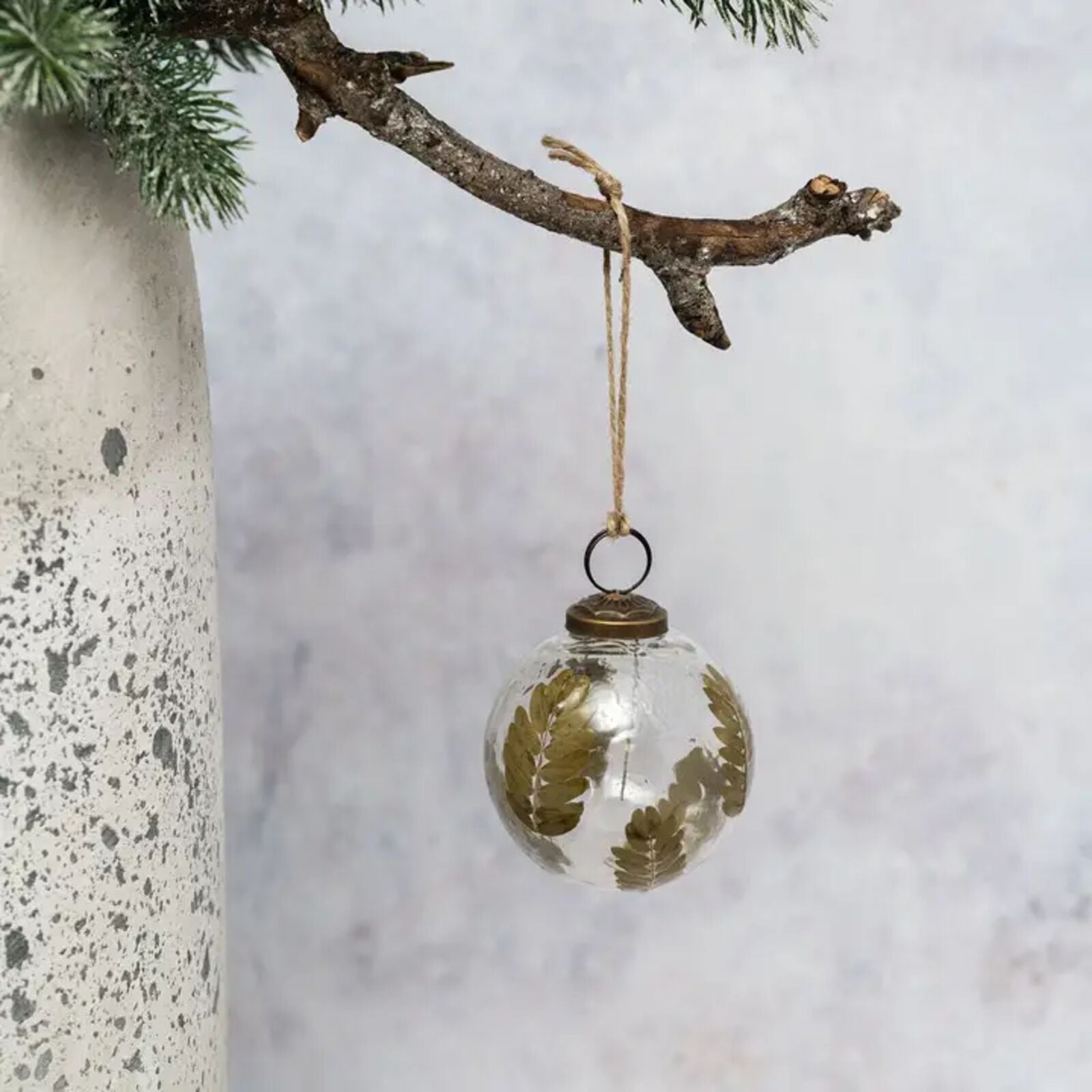 Glass ornament with leaf design hanging from a branch against a neutral background