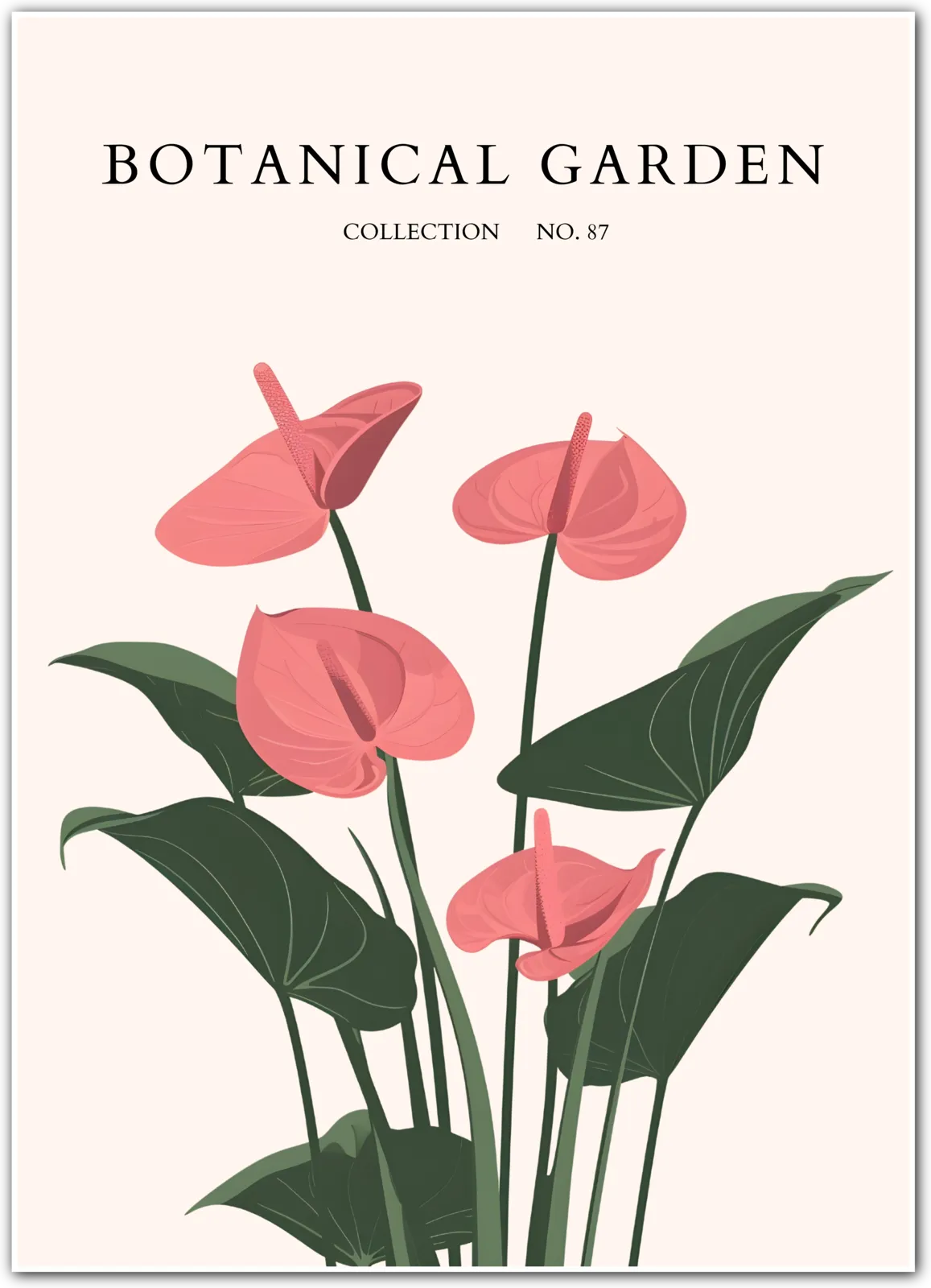 Anthurium Grace – Tropical Blush Flower Print