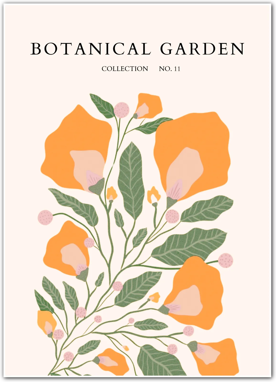 Californian Poppies – Vintage Botanical Wall Art