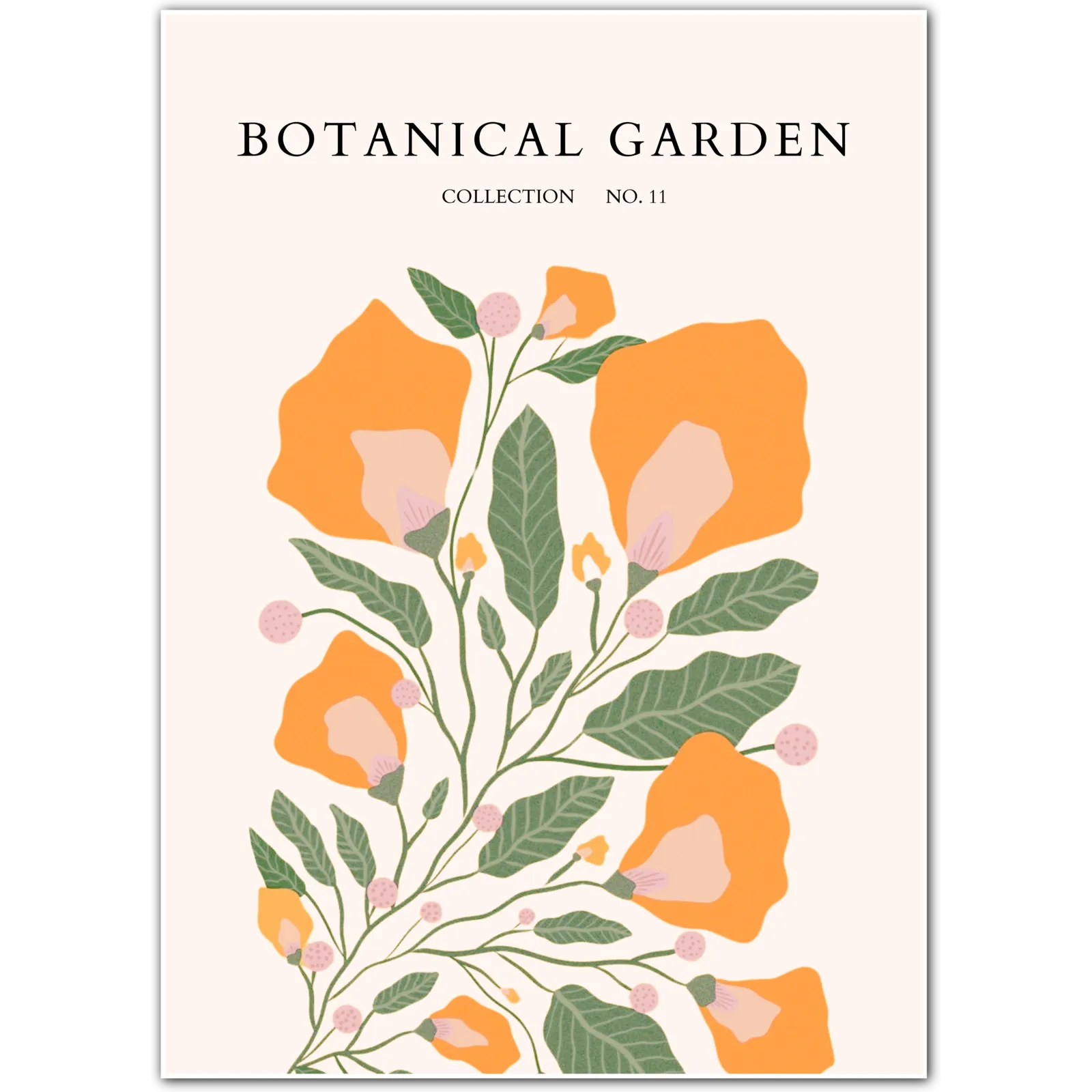 Californian Poppies – Vintage Botanical Wall Art