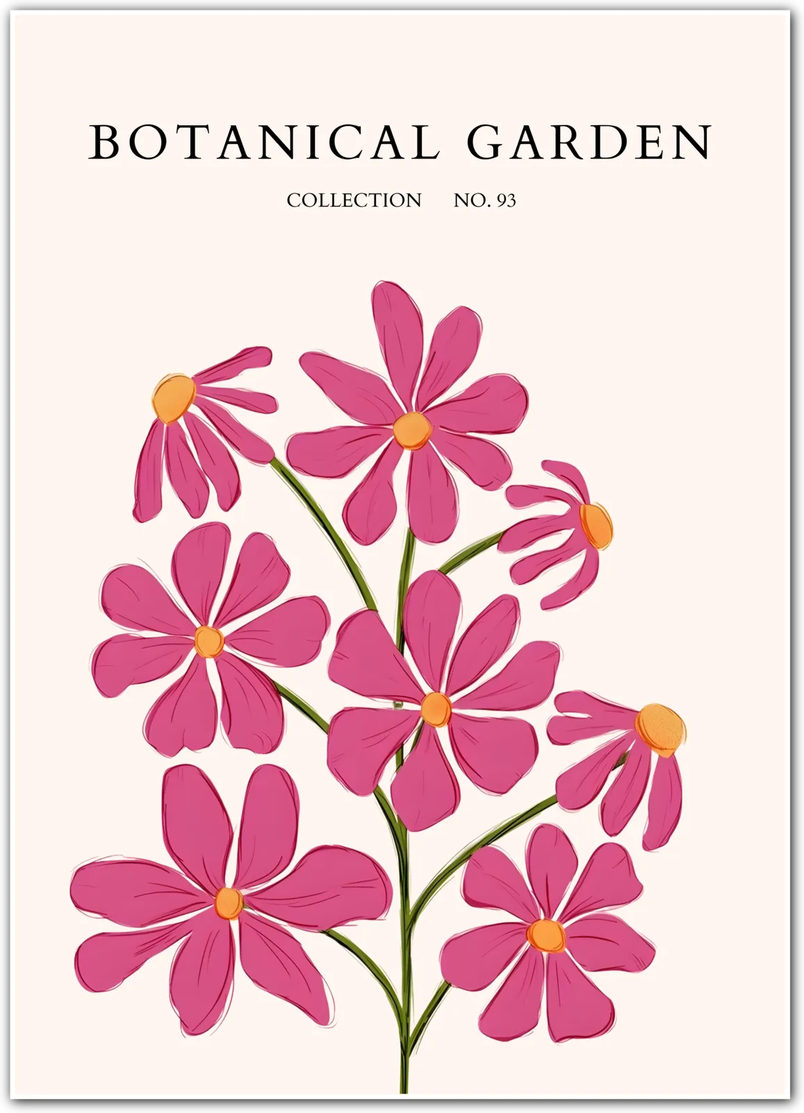 Wild Magenta Cosmos Botanical Art Print – Joyful Pink Floral Illustration