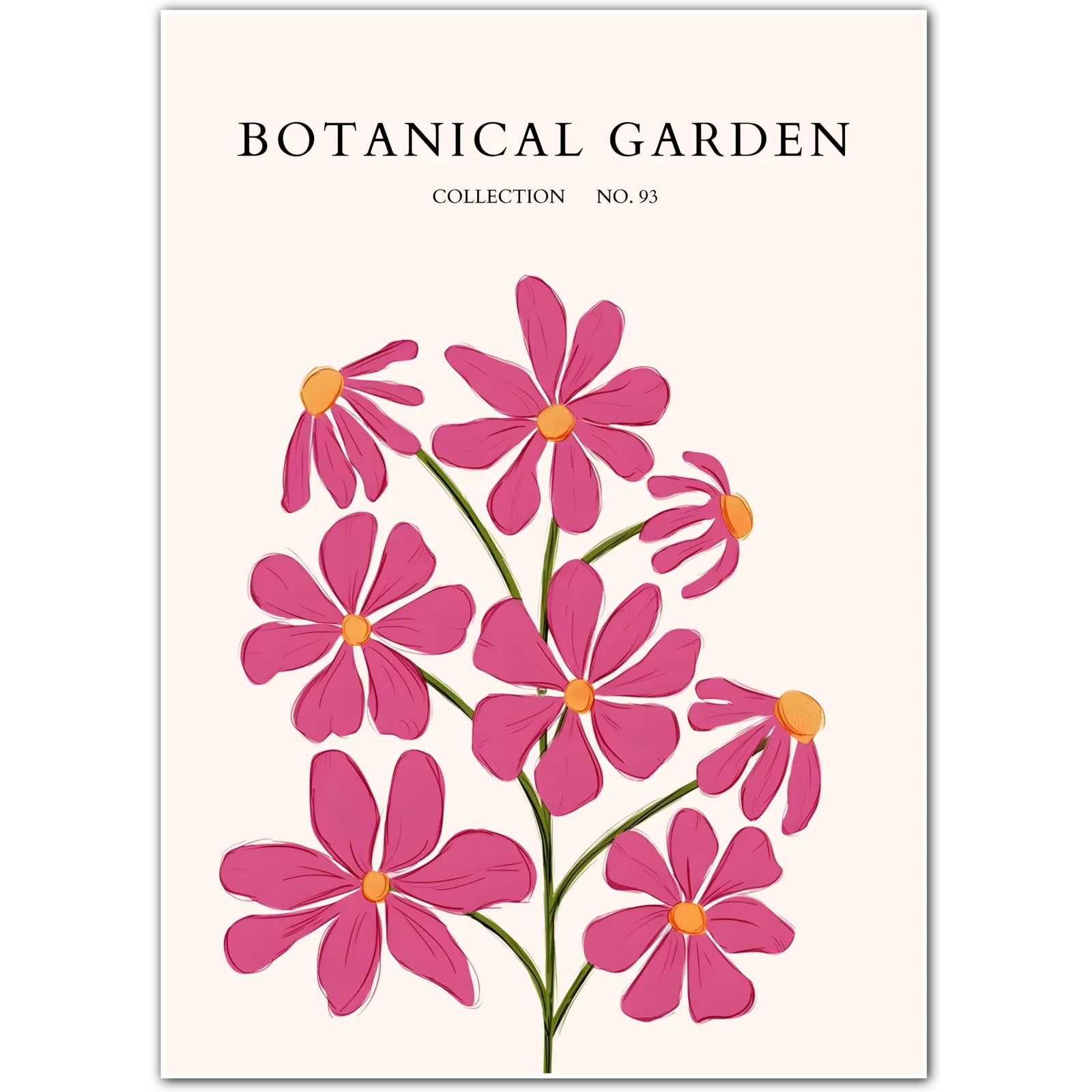 Wild Magenta Cosmos Botanical Art Print – Joyful Pink Floral Illustration