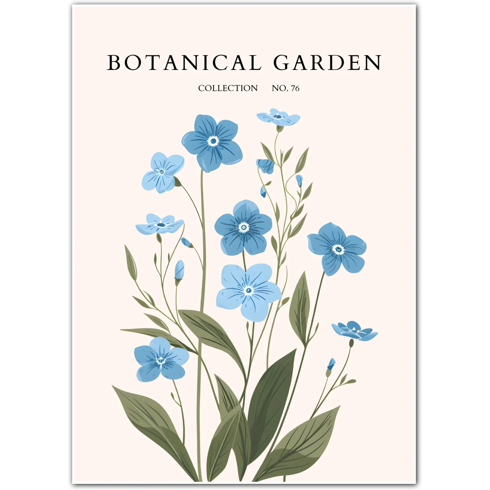 Cornflower Blue Wildflower Botanical Print – Delicate Floral with Cottage Charm