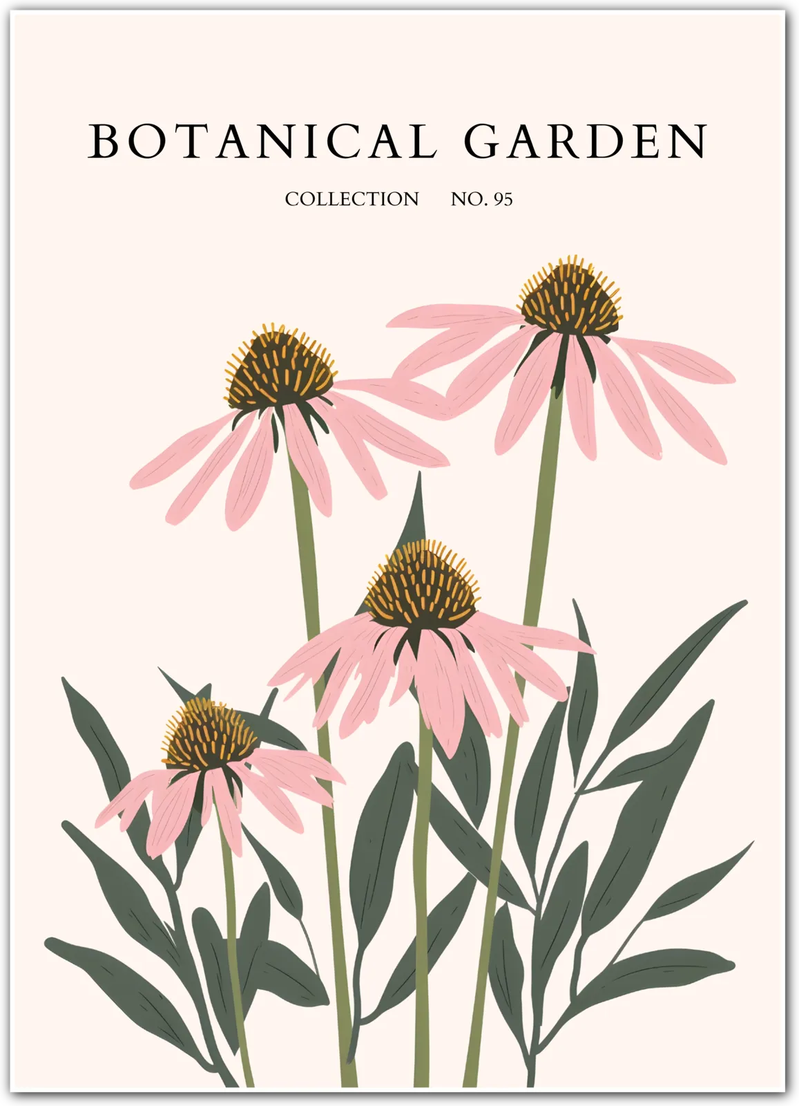 Blush Coneflower Botanical Art Print – Delicate Prairie Bloom Elegance
