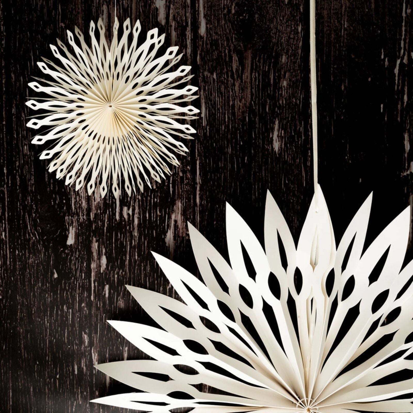 Decorative paper fans on a dark wooden surface