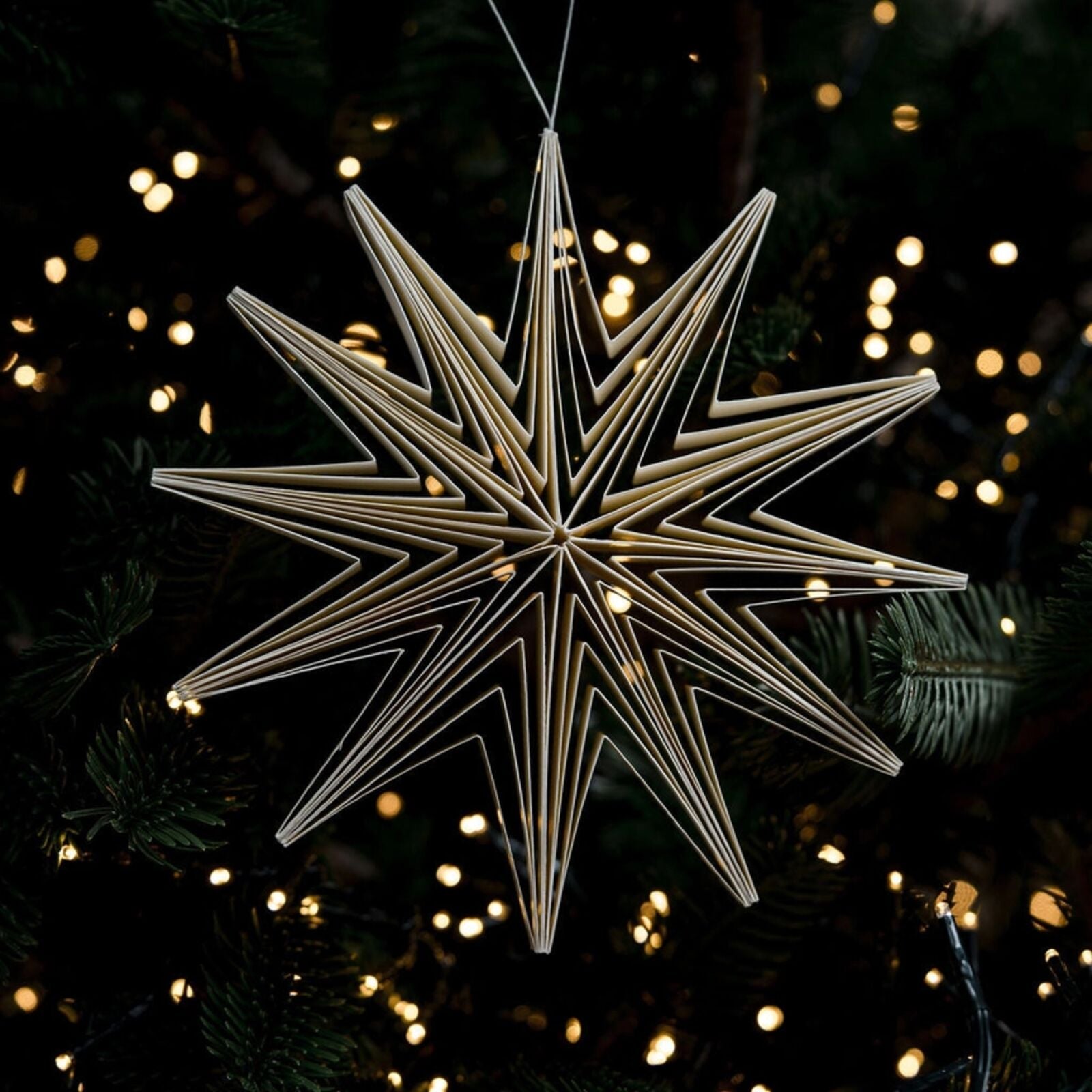 White Giant Paper Star Hanging Decoration
