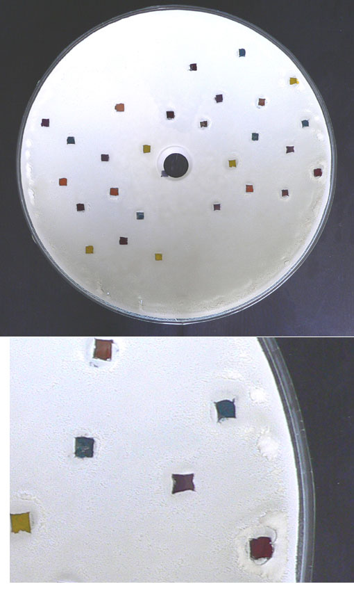 Stunning Handmade Fusion Glass Basin