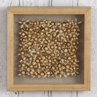 Contemporary Shadow Box Flowers  Wall Art