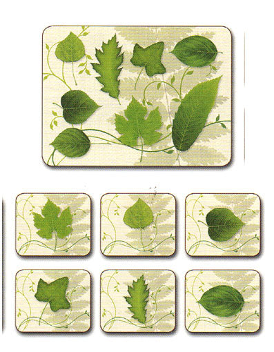 Evergreen 6 Placemat Set