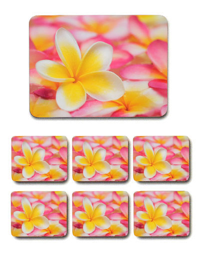 Frangipani 6 Coaster Set