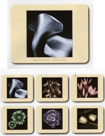 Serenity 6 Coaster Set