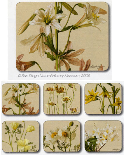 Valentien 6 Coaster Set