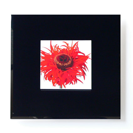 Contemporary Raised Print Art On Glass