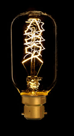 Zig-Zag Filament Vintage Light Bulb
