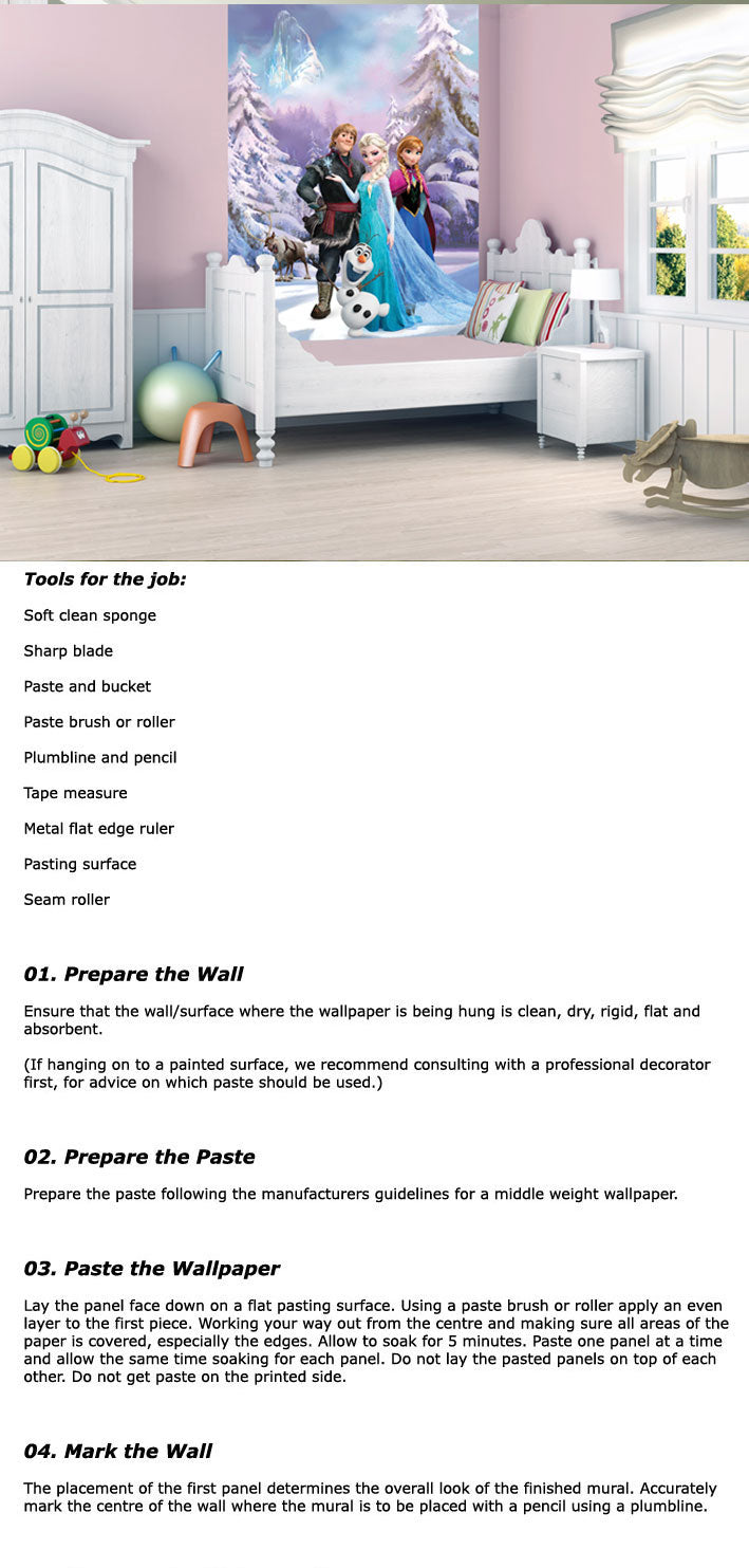 Frozen Statement Wall Wallpaper Mural - 5Ft X 7.6Ft!! - Priced To Clear