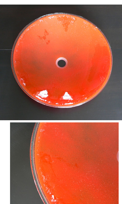 Stunning Handmade Fusion Glass Basin