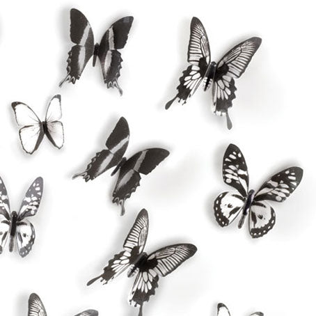 Umbra Fluttering Butterfly Wall Art