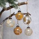 Five clear glass hanging ornaments decorated with dried flowers and leaves, suspended from a rustic tree branch against a soft light gray background.