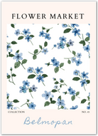 Belmopan Forget-Me-Not – Delicate Blue Floral Scatter Print