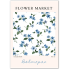 Belmopan Forget-Me-Not – Delicate Blue Floral Scatter Print