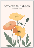 California Poppies Art Print