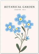 Whispers of the Wild: Forget-Me-Not Blue Art Print