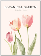 Painter’s Garden – Stylised Poppies in Bloom