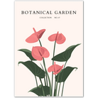 Anthurium Grace – Tropical Blush Flower Print
