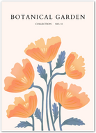 Golden Poppies Botanical Wall Print