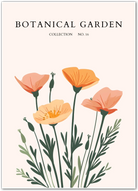 Peach Meadow Poppies Botanical Art Print
