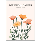 Peach Meadow Poppies Botanical Art Print