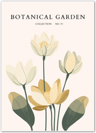 Cream Lotus Elegance – Modern Tranquil Floral Art