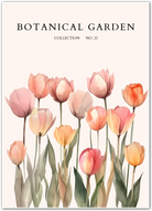 Pastel Tulip Harmony Botanical Print