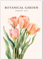 Whimsical Wildflowers Botanical Illustration