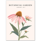 Pink Coneflower Botanical Art Print – Echinacea Elegance with Vintage Flair