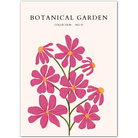 Wild Magenta Cosmos Botanical Art Print – Joyful Pink Floral Illustration