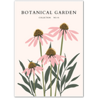 Blush Coneflower Botanical Art Print – Delicate Prairie Bloom Elegance