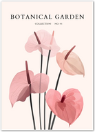 Anthurium Grace – Blush Heart Petal Art Print