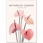 Anthurium Grace – Blush Heart Petal Art Print