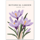 Saffron Crocus Botanical Illustration Art Print