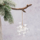 A cluster of clear glass bubble ornaments hanging from a natural twine string, suspended from a rustic tree branch with frosted green pine needles against a soft light gray background.