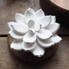 Handmade Acacia Wood & Porcelain Star Flower Oil Diffuser 2