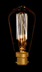 Stylish Vintage Light Bulb